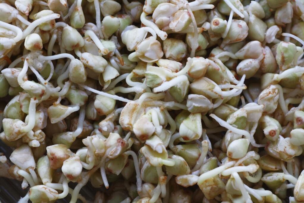 buckwheat sprouts for weight loss